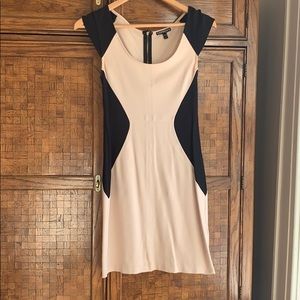 Express Bodycon Dress in Size 2